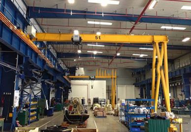 Semi-Goliat macara europeană